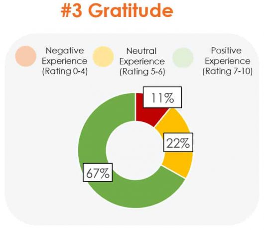Gratitude WHS Results